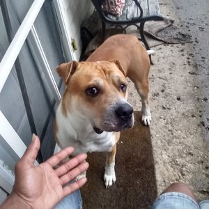 Meet your Posher, Bryant